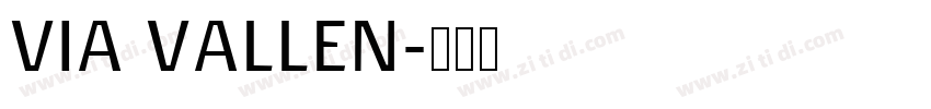 VIA VALLEN字体转换